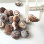 IQF Frozen Shiitake Mushroom Whole, blanched