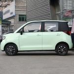 Affordable Mini Car Low Speed EV Vehicle from Chinese for Your Business