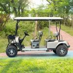 4 Seater Legal Street Electric Golf Cart with lithium battery and foldable back