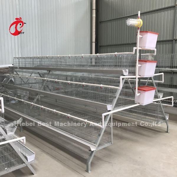 Cold Galvanized Poultry Battery Cage System 40 doors Egg Laying Chicken Cage