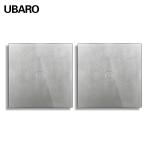 UBARO EU/UK Smart Dual Switch Grey 1 Gang 2 Way 100-240Vac 50-60Hz 10A With