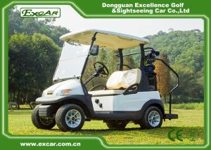 Quality Italy Graziano Axle 2 Passenger Golf Cart , Electric Golf Car wholesale