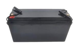 Quality 24 Volt Trolling Motor Battery 24V 80Ah 1200A Lithium Ion Trolling Motor Battery wholesale