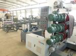 PE Sheet Extrusion Equipment Polyethylene Sheet Manufacturing Machine Supplier
