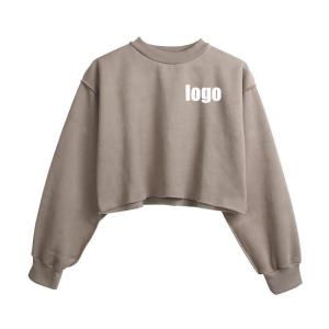 Quality Drop Shoulder Slogan Embroidery Sweatshirt Customized Labels 100% Cotton wholesale