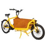 Drop Ship City Tricycles with Rainproof Front Wooden Box Power Supply lithium