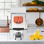 Compact Orange Juice Machine for Hotel Supermarket with Big Flavor and