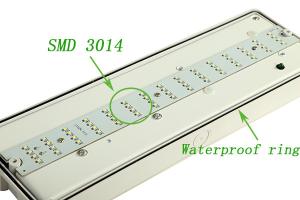 Quality IP65 Rechargeable Waterproof Emergency Light 3 Hours Operation wholesale