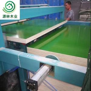 Quality Moisture Proof WBP Plastic Ply Board / Plastic Coated Plywood For Trailers wholesale