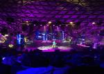 Clear View HD Entertainments Video LED Display P4 LED Screen