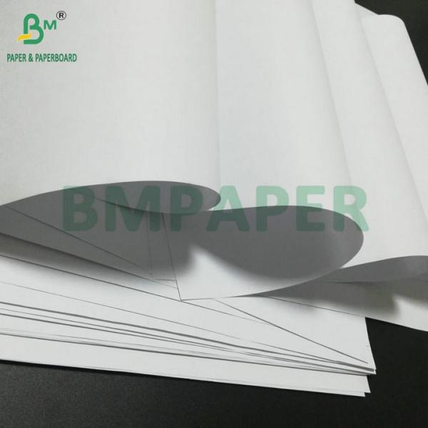 Cheap 70cm Reel 60gsm 80gsm High Bulk Woodfree Paper For Composition Or Subject Books for sale