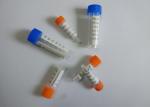 Purified Anti-Phencyclidine Mouse Monoclonal Antibody Medicine PCP-BSA