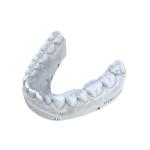 Professional LCD Dental Resin 3d Printing Repair Model Dental Resin