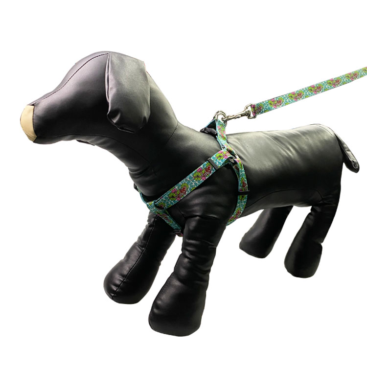 5kg Dog Harness Set