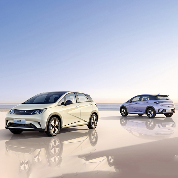 BYD Dophin 2022 Electric Car The Ultimate Choice for Chinese Sport Car Enthusiasts