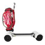 10 Inch Four Wheels Powerful Electric Scooter Electric Golf Scooter 1000w Dual