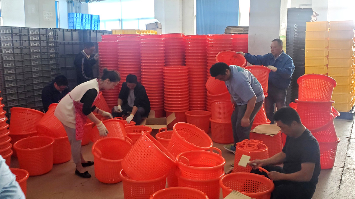 Durable Circular Mesh Plastic Basket For Storing Fruits Vegetables