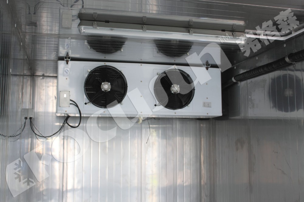 Bitzer Compressor Containerized Cold Room for Storing Meat Seafood Vegetables or Ice