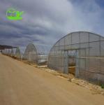 Film Covered Agricultural Tunnel Greenhouse for Growing Vegetables Fruits and