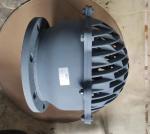 BS4504 cast iron flanged foot valve made in China