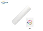 Single Side 60cm 30cm DTF Film A3 A4 Heat Transfer For Digital Printing