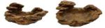 Food Grade Reptile Feeding Bowl Resin Material Environmental Friendly