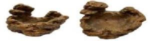 Quality Food Grade Reptile Feeding Bowl Resin Material Environmental Friendly wholesale