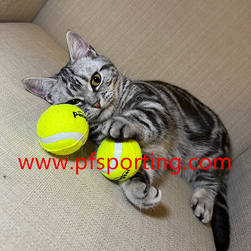 large dog tennis ball