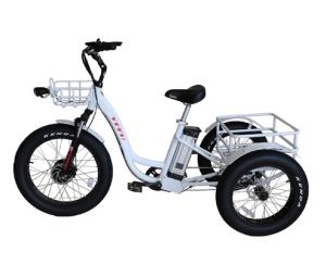 Quality Front V And Rear Drum Brake 3 Wheel Electric Trike Powered By Front Hub Motor wholesale