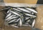 Below 18 Degree Delicious BQF 60g Fresh Frozen Mackerel
