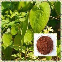 Quality Epimedium PE Icariin 10% wholesale