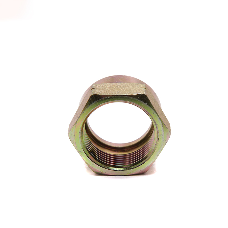 Pipe Fitting Hex Nut Tube Insert Pipe Thread Nut Pipe Thread Tube Nut