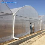 Wind Resistant Agriculture Plants Growing Hydroponic System Poly Film Multi Span