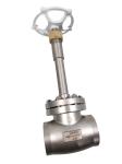 Stainless Steel 304 CF8 DN65 Cryogenic Globe Valve