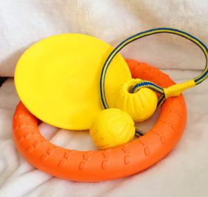 Quality 20CM Polyurethane Dog Training Pet Flying Saucer Plate PU Foaming wholesale
