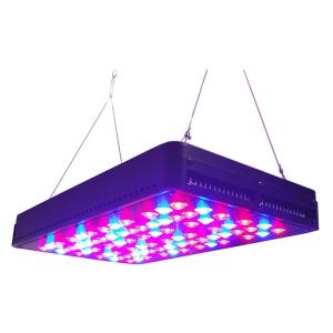 Quality cidly 200watt led grow lights 5w chip leds for hydroponic system,for greenhouse wholesale