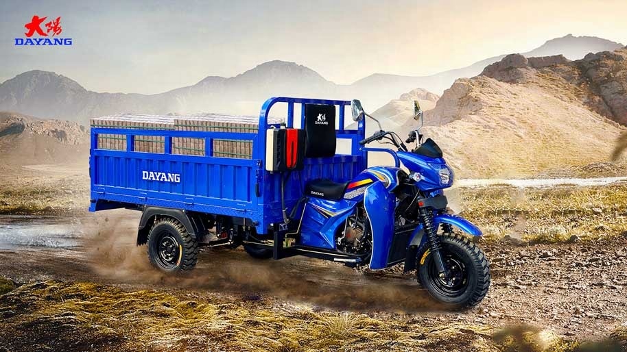 Open Body Type Motorized Cargo Tricycle Motorcycle with Front Disc Rear Drum Brake