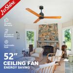 5 Speed Choice Ceiling Fan for Modern Home Decoration Low Watt Energy Saving No