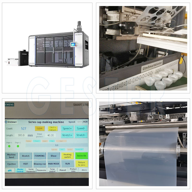 380V 50HZ Biodegradable PLA Plastic Cup Making Machine