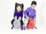 Ecofriendly PVC Animal Jumping Ball For 3 Ages Kids Meet EU Standard