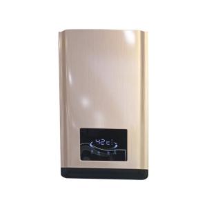 Quality ODM LPG Gas Instant Hot Water Heater Boiler 6L-16L wholesale