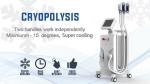 Highly Safety Freeze Fat Machine , Fat Removal Slim Freeze Fat Freeze Slimming