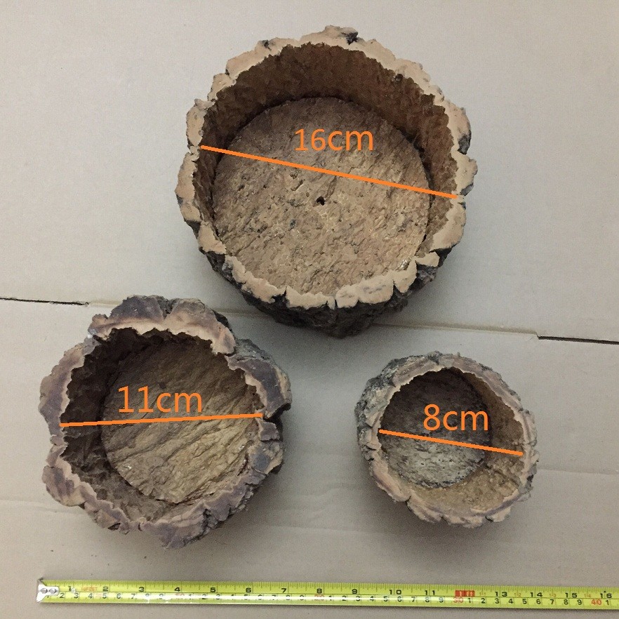 Environmental Round Cork Bark Planter for Indoor or Outdoor Gardening