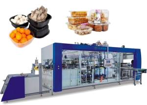 Quality Four Station Blister Thermoforming Machinery Automatic wholesale