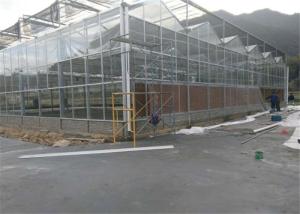 Quality Scientific Research Agricultural Glass Greenhouse High Light Transmitting Rate wholesale