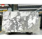 Polished Arabescato White Italian Marble Slab for Modern Wall and Round Dining
