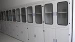 Beautiful Durable Chemical Safety Cabinet Stainless Steel Grey Cupboard
