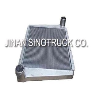 Quality INTERCOOLER WG9725530020 wholesale