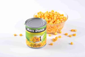 Quality Traditional High Protein Sweet Corn In Can No Preservative ISO Certification wholesale