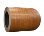 Color Coated Steel Galvanized Coil Building Materiels PPGI Zinc Hot Dipped